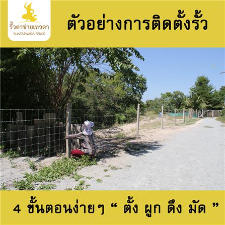 ตาข่ายถักปม เทวดา 8 เส้น 0.90x100 ม._3