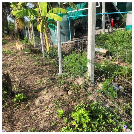 ตาข่ายถักปม เทวดา 8 เส้น 0.90x100 ม._4