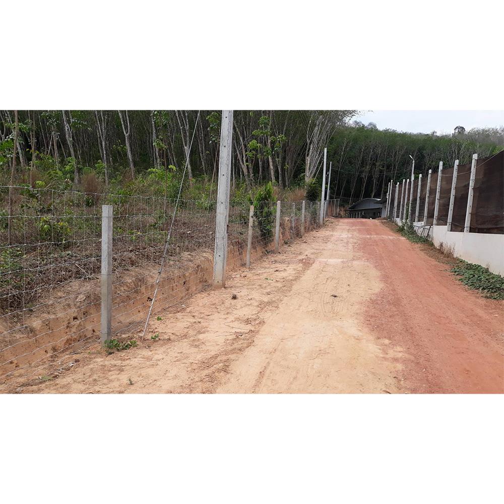 ตาข่ายถักปม เทวดา 12 เส้น 1.65x100 ม.