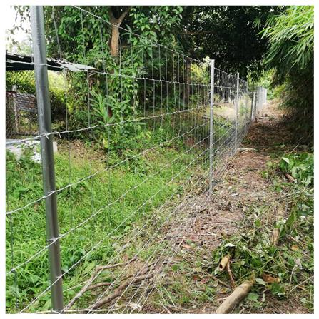 ตาข่ายถักปม เทวดา 12 เส้น 1.65x100 ม._4