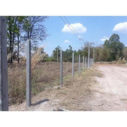 ตาข่ายถักปม เทวดา 12 เส้น 1.65x100 ม._6