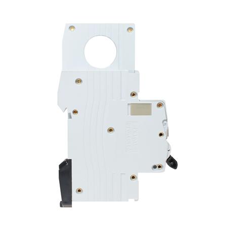 เมนเซอร์กิตเบรกเกอร์กันดูด/กันรั่ว 50 แอมป์ 1 เฟส HACO รุ่น R09_2