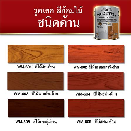 สีย้อมไม้ ชนิดด้าน WOODTECT WOODSTAIN WM601 สีไม้สัก 1 แกลลอน_3