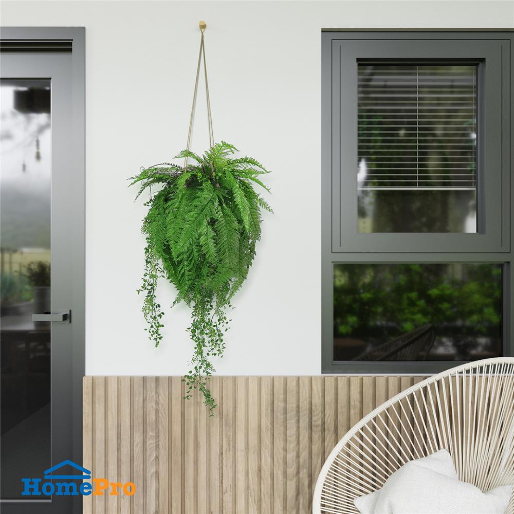 กระเช้าเฟิร์นประดิษฐ์ SPRING TY-H03