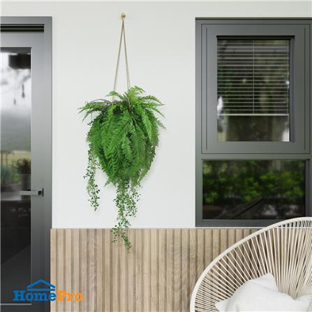 กระเช้าเฟิร์นประดิษฐ์ SPRING TY-H03_3