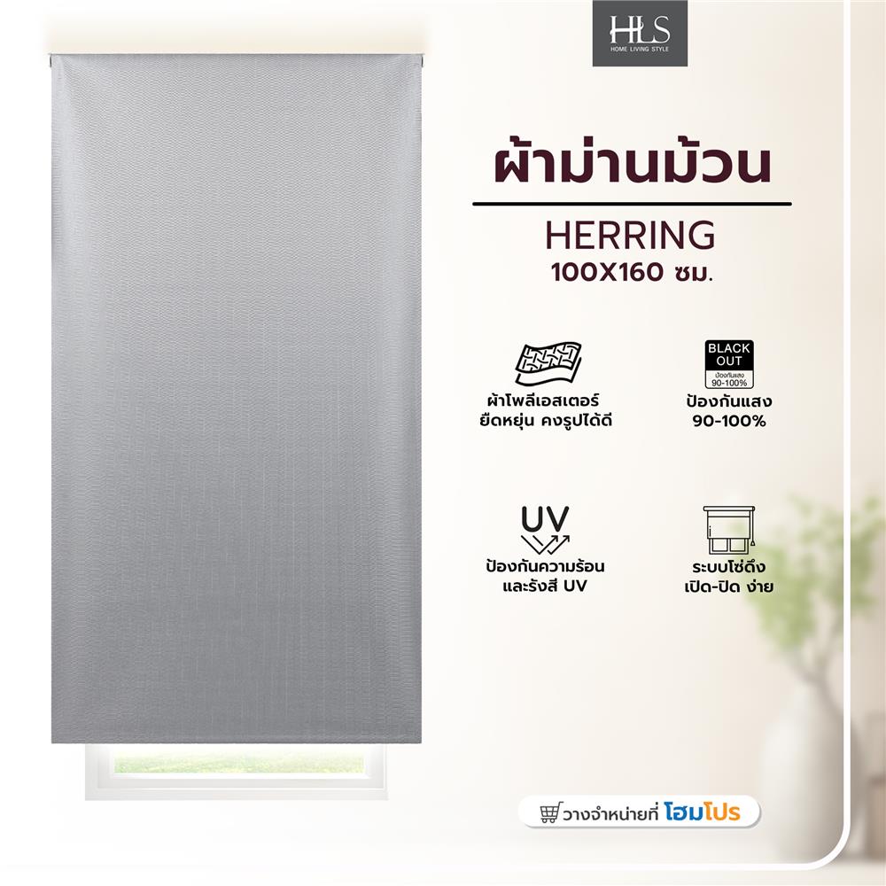 ROLLER BLIND HOME LIVING STYLE HERRING 100x160CM GRAY