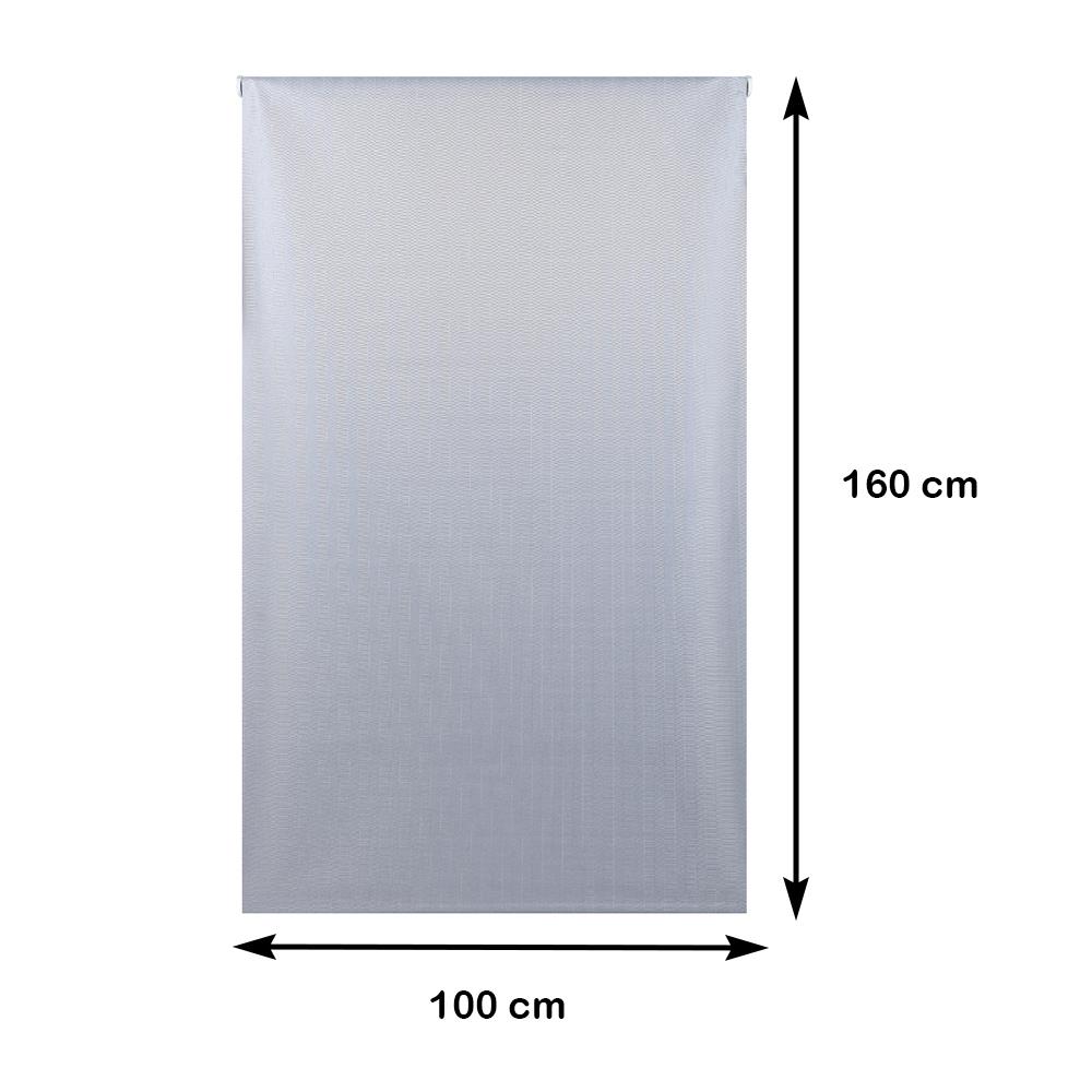 ROLLER BLIND HOME LIVING STYLE HERRING 100x160CM GRAY