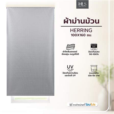ROLLER BLIND HOME LIVING STYLE HERRING 100x160CM GRAY_5