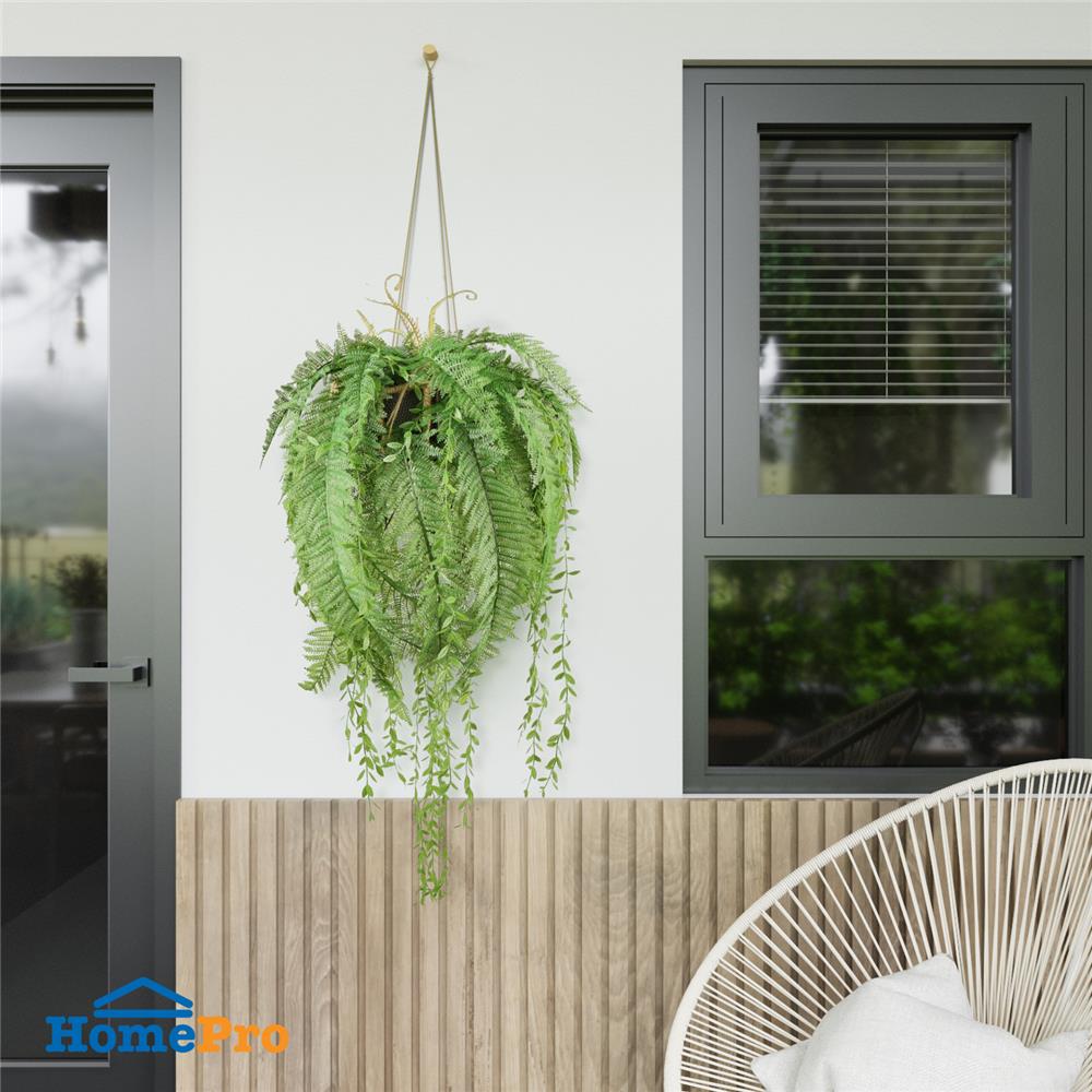 กระเช้าเฟิร์นประดิษฐ์ SPRING TY-H01