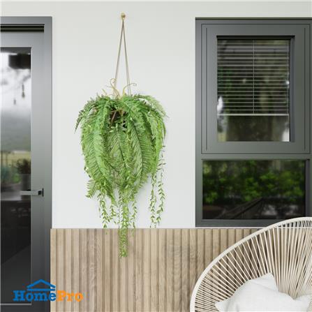 กระเช้าเฟิร์นประดิษฐ์ SPRING TY-H01_3