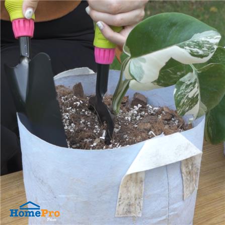 ส้อมพรวนดิน ด้ามจับพลาสติก SPRING FG01PG_4