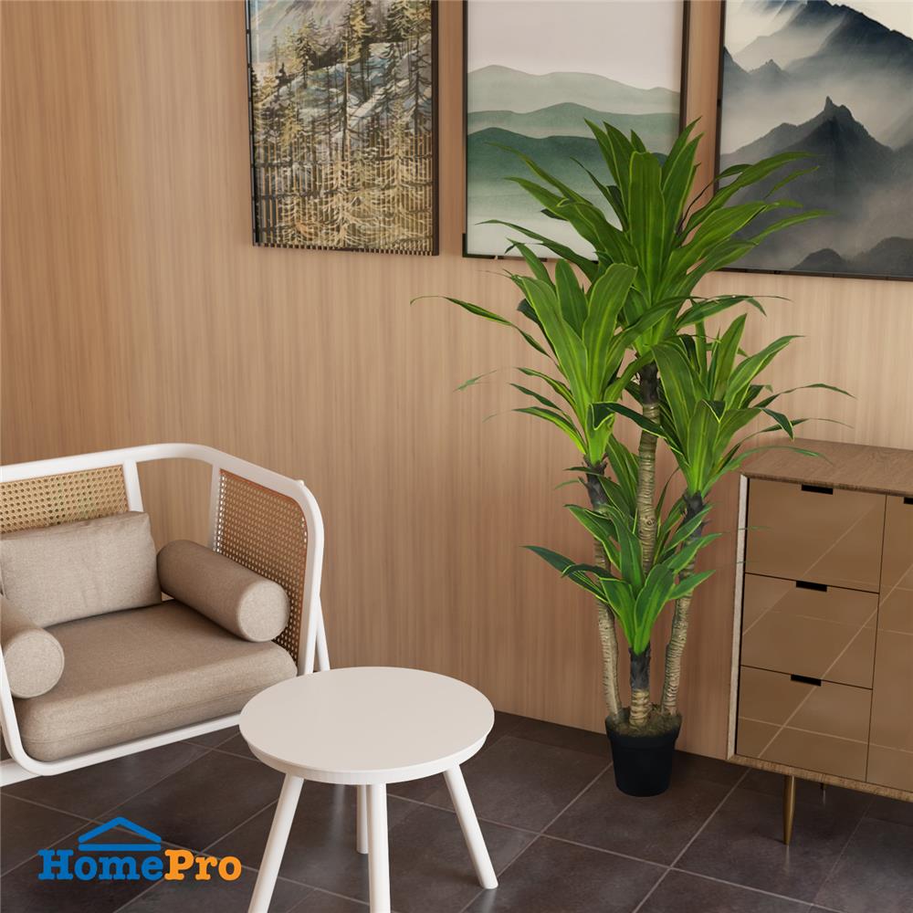 ต้นวาสนาประดิษฐ์ SPRING 200 ซม.