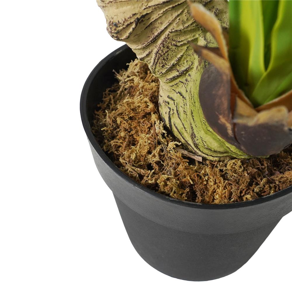 ต้นวาสนาประดิษฐ์ SPRING 160 ซม.