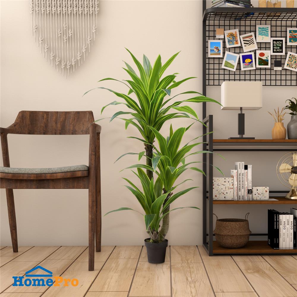 ต้นวาสนาประดิษฐ์ SPRING 160 ซม.