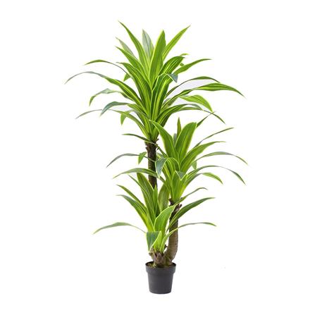 ต้นวาสนาประดิษฐ์ SPRING 160 ซม.