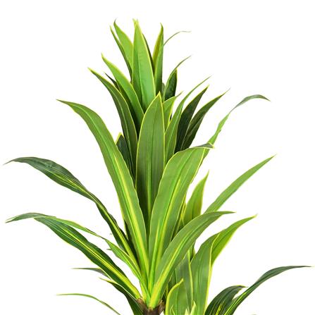 ต้นวาสนาประดิษฐ์ SPRING 160 ซม._1