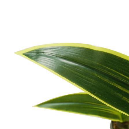 ต้นวาสนาประดิษฐ์ SPRING 160 ซม._3