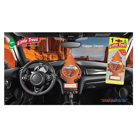 AIR FRESHENER PAD LITTLE TREES LITTLE TREES 0.21G COPPER CANYON_2