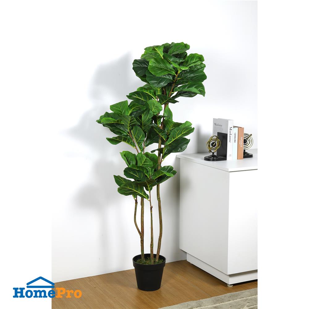 ต้นไทรใบสักประดิษฐ์ SPRING 150 ซม.