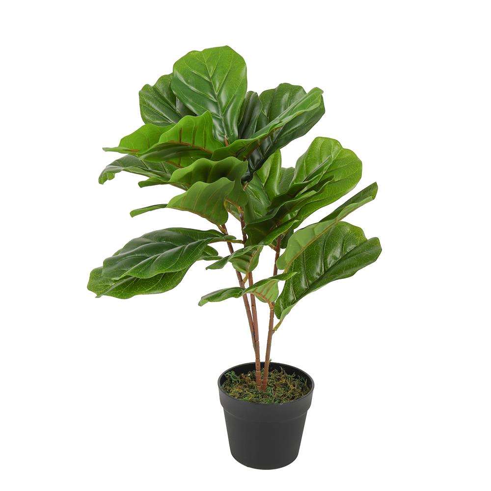 ต้นไทรใบสักประดิษฐ์ SPRING 60 ซม.