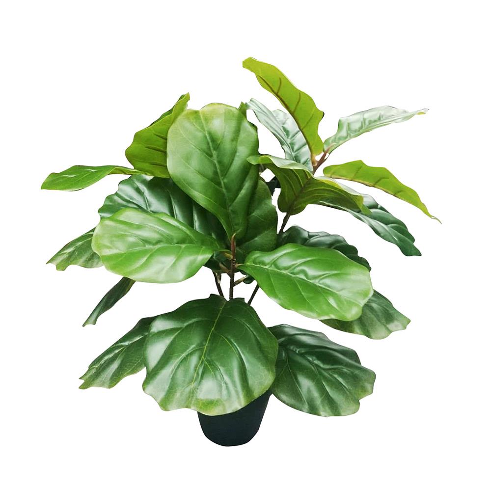 ต้นไทรใบสักประดิษฐ์ SPRING 60 ซม.