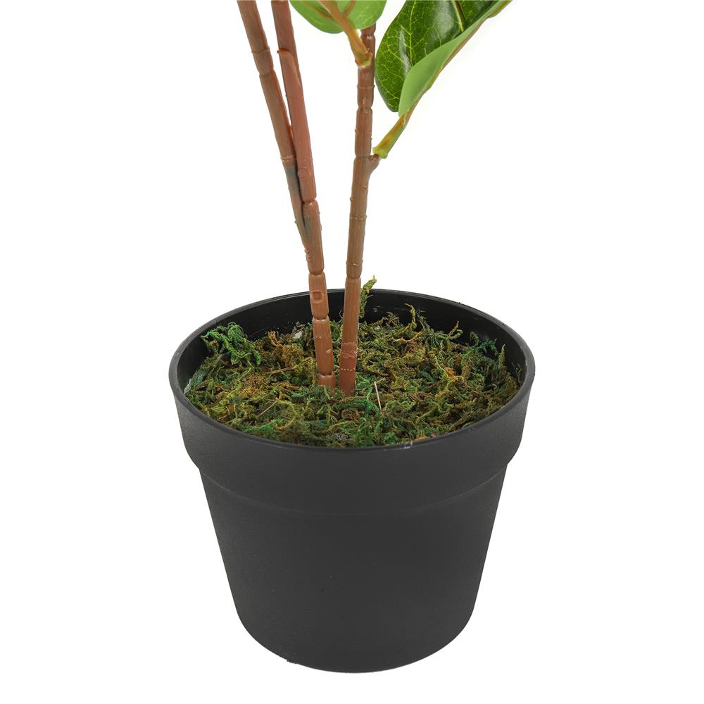 ต้นไทรใบสักประดิษฐ์ SPRING 60 ซม.