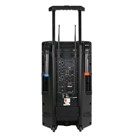 ลำโพง SHERMAN APS-115_2