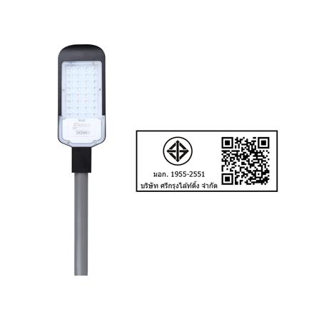 ไฟถนน LED ELEKTRA ELE-315-30 30 วัตต์ DAYLIGHT_7