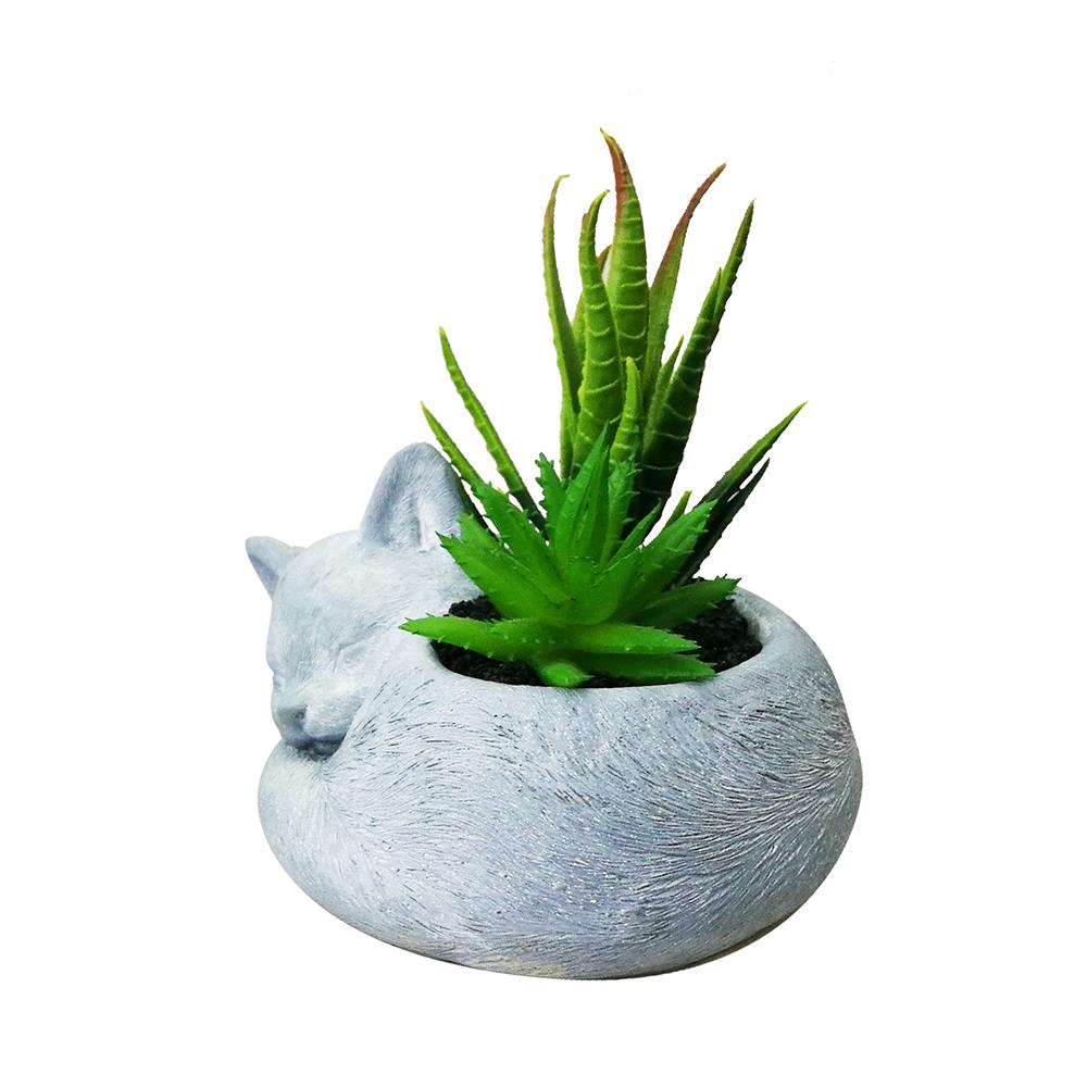 ไม้อวบน้ำในกระถางรูปแมว SPRING 02