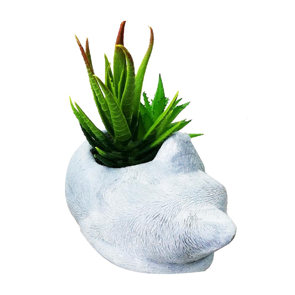 ไม้อวบน้ำในกระถางรูปแมว SPRING 02