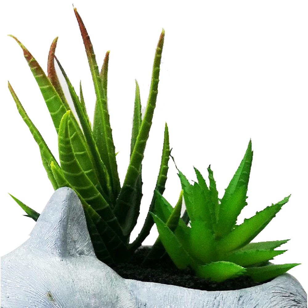 ไม้อวบน้ำในกระถางรูปแมว SPRING 02