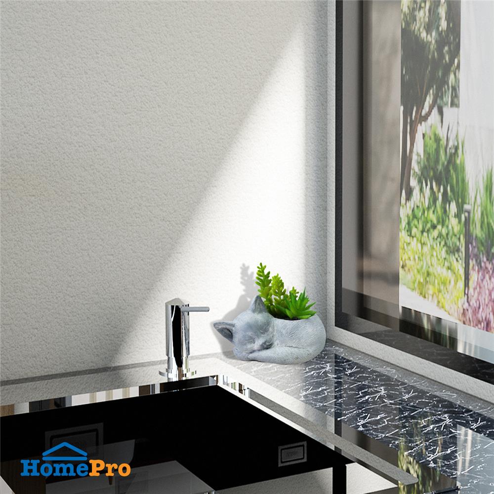 ไม้อวบน้ำในกระถางรูปแมว SPRING 01