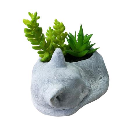 ไม้อวบน้ำในกระถางรูปแมว SPRING 01_1