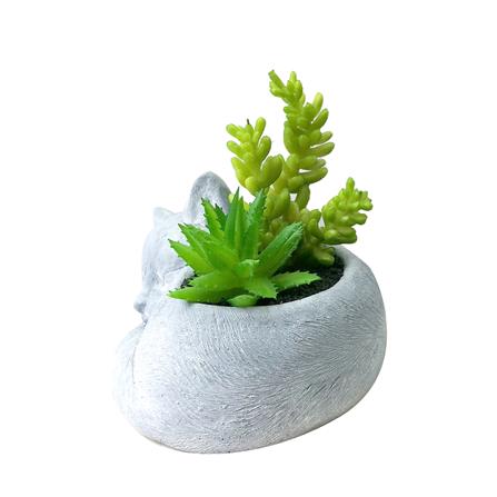 ไม้อวบน้ำในกระถางรูปแมว SPRING 01_2