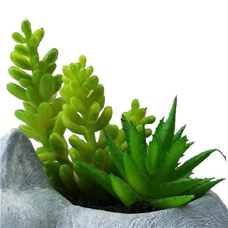 ไม้อวบน้ำในกระถางรูปแมว SPRING 01_3