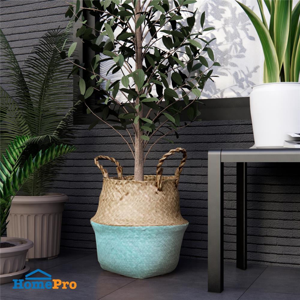 กระถางทรงตะกร้า SPRING ไซส์ L สี NATURAL WOOD