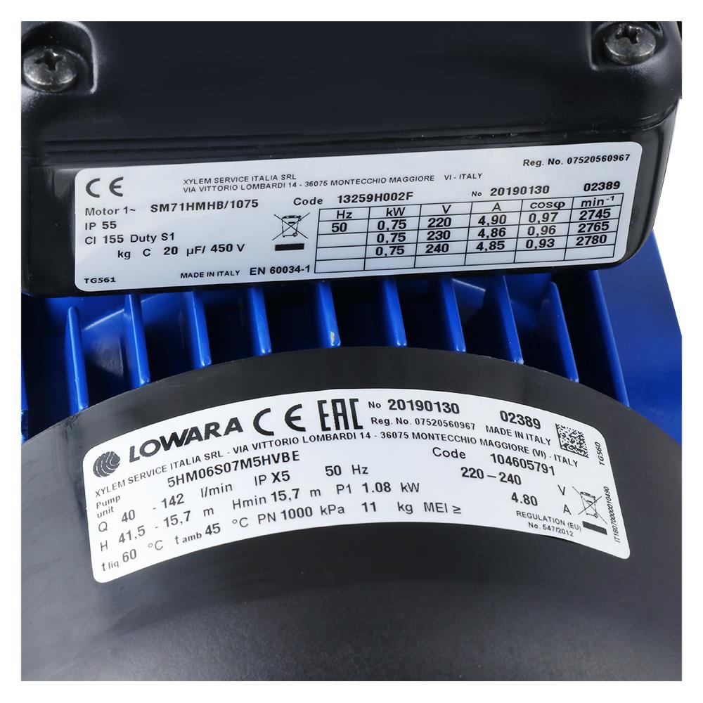 ปั๊มน้ำอัตโนมัติ LOWARA 5HM06/PF12 750 วัตต์