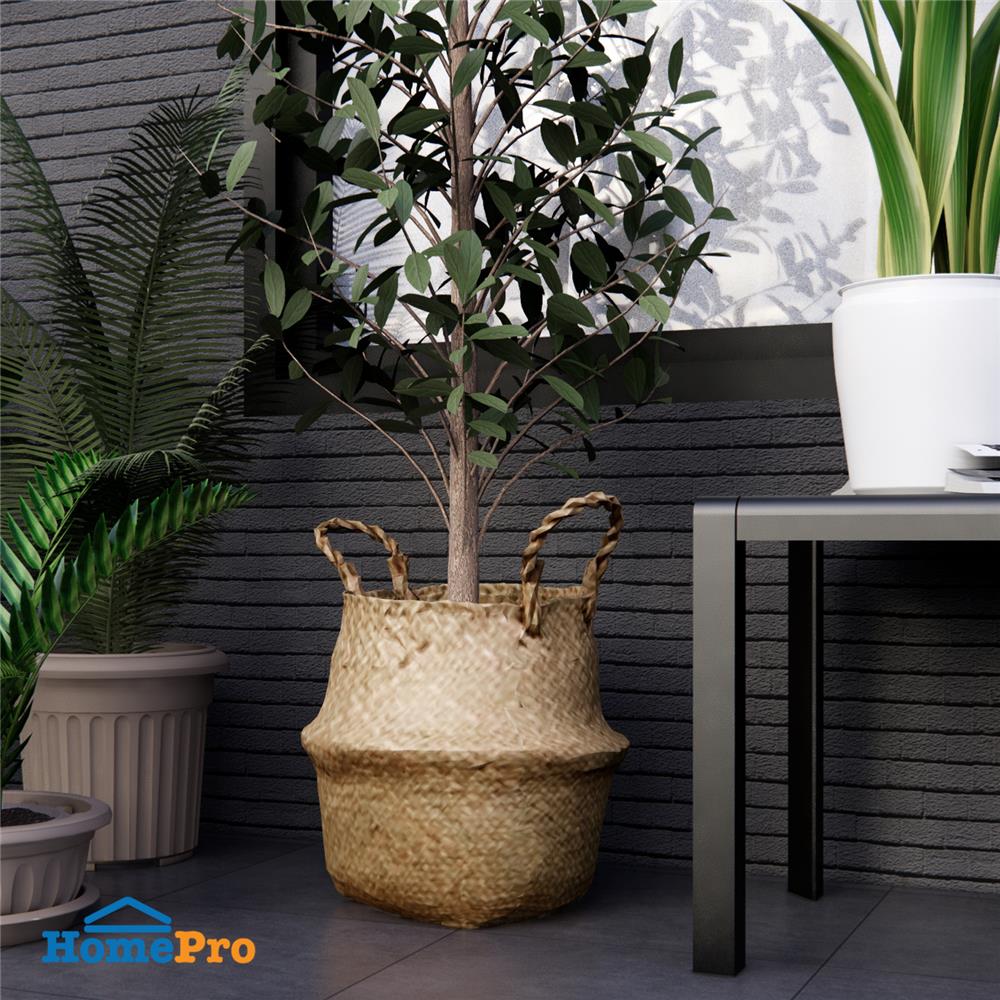 กระถางทรงตะกร้า SPRING ไซส์ S สี NATURAL WOOD