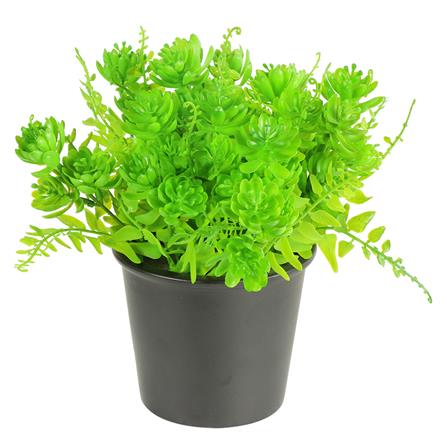 ต้นไม้ประดิษฐ์ใบเขียว SPRING TY-01A_0