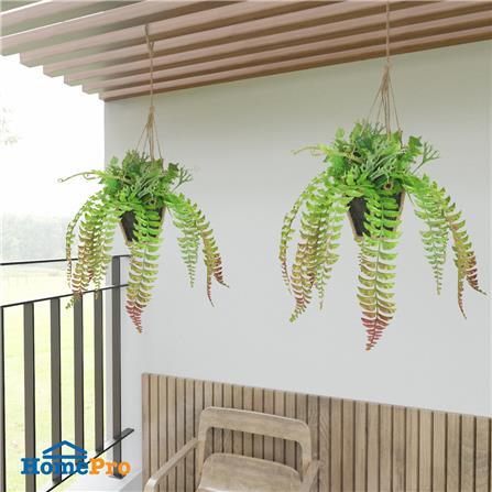 กระเช้าเฟิร์นประดิษฐ์ (สั้น) SPRING TY-H05_2