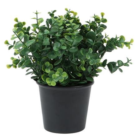 ต้นไม้ประดิษฐ์ใบเขียว SPRING TY-01B