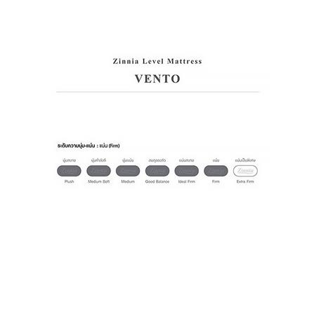 ที่นอน 5 ฟุต ZINNIA VENTO 6_2