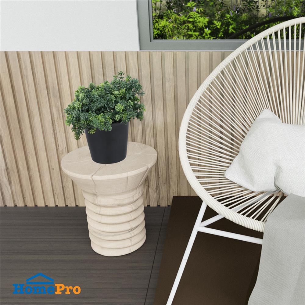 ต้นไม้ประดิษฐ์กระถางเซรามิก SPRING 20 ซม.