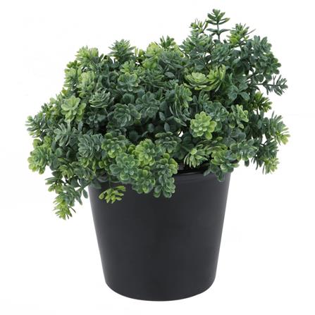 ต้นไม้ประดิษฐ์กระถางเซรามิก SPRING 20 ซม.