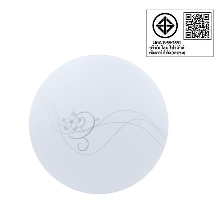 ไฟเพดาน LED CARINI TRY SS36 HEHUA 15 นิ้ว 36 วัตต์ DAYLIGHT สีขาว_7