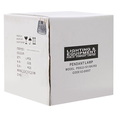 ไฟช่อ โมเดิร์น 02-00857 L&E โลหะ สีดำ 1 หัว_1