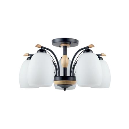 ไฟถาด L&E 01-02684 5 หัว สีขาว/ทองรมดำ_0