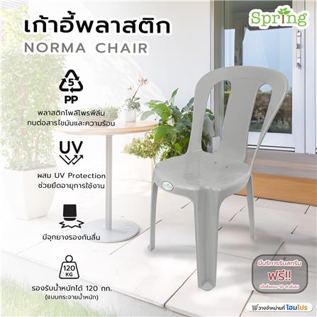 เก้าอี้พลาสติก SPRING NORMA CHAIR สีเทา_4