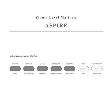 ที่นอน 3.5 ฟุต ZINNIA ASPIRE_3