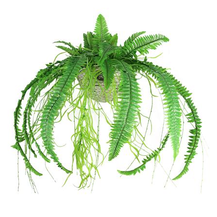 กระเช้าเฟิร์นประดิษฐ์ WACH 15_0